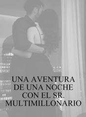 Una aventura de una noche con el Sr. Multimillonario