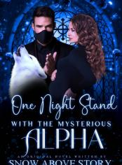 One Night Stand With The Mysterious Alpha  #book 1