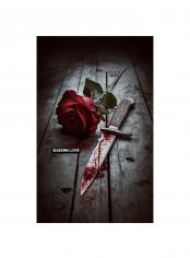 BLEEDING LOVE