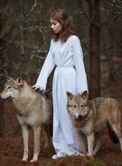 The Wolf Prophies
