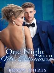 One Night With Mr. Billionaire
