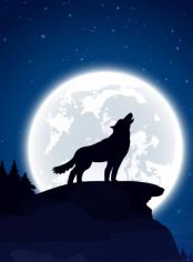 Moonlight Brews