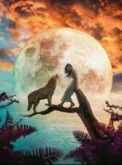 His Alpha Lover