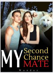 My Second Chance Mate