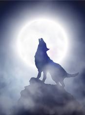 A Werewolf Fantasy