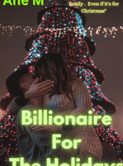 Billionaire For The Holidays