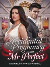 Accidental Pregnancy with Mr. Perfect