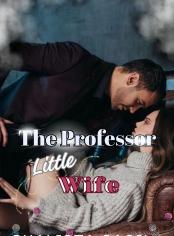 THE PROFESSOR LITTLE WIFE