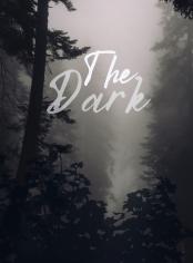 The dark 