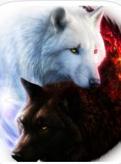 The Lycan King and His Mysterious Luna