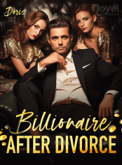 Billionaire After Divorce