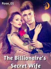 The billionaire’s secret  wife