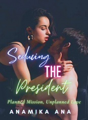 Seducing The President