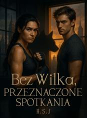 Bez Wilka, Przeznaczone Spotkania