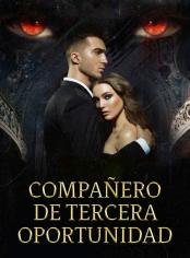 Compañero de tercera oportunidad