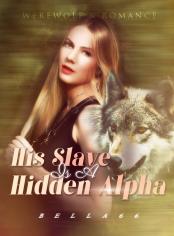 His Slave Is A Hidden Alpha