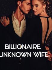 The Billionaire unknown wife