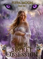 Our Secret Obsession (Book 2)