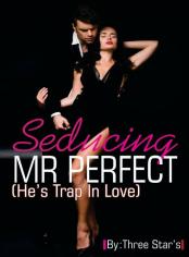 Seducing  Mr. Perfect