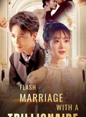 Flash Marriage With A Trillionaire