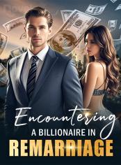 Encountering a Billionaire in Remarriage