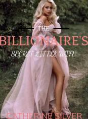 The Billionaire's Secret Little Wife