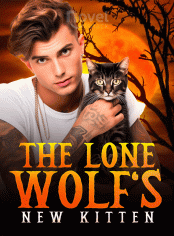 Le Nouveau Chaton du Loup Solitaire