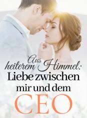 Aus heiterem Himmel: Liebe zwischen mir und dem CEO