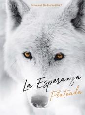 La Esperanza Plateada