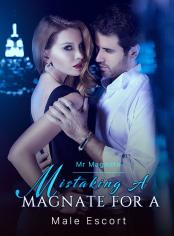 Mistaking a Magnate for a Male Escort
