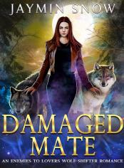 Damaged Mate