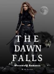 The Dawn Falls