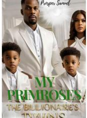 My Primroses, The Billionaire's Twins