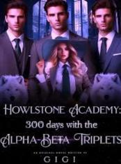 HOWLSTONE ACADEMY: 300 DAYS WITH THE ALPHA BETA TRIPLETS