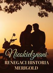 Nieokiełznani Renegaci Historia Merigold