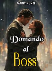 DOMANDO AL BOSS