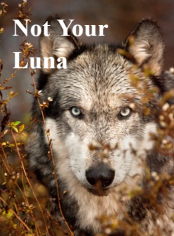 Not Your Luna