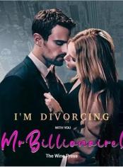 I'm Divorcing with You, Mr Billionaire!