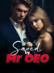 Salvada por el Sr. CEO