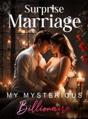 Surprise Marriage: My Mysterious Billionaire