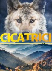 Cicatrici