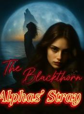The Blackthorn Alphas’ Stray