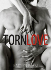 Torn Love 