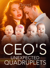 CEO's Unexpected Quadruplets
