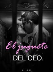 El juguete del CEO.
