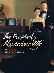 The President's Mysterious Wife