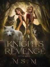 The Knights  Revenge